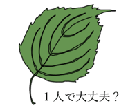 508253806