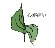 508253807