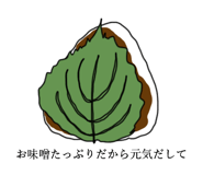 508253808