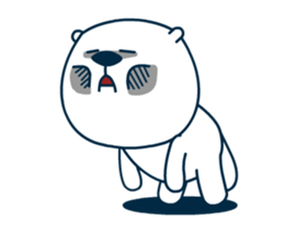 508254565