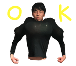508289296