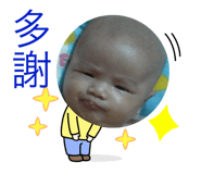 508293740