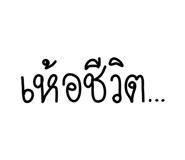 508308704