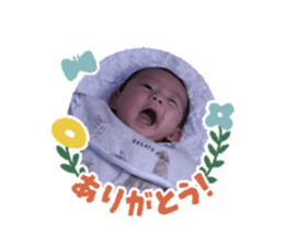 508310133