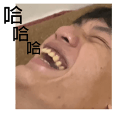 508323340