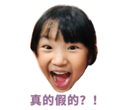 508324486