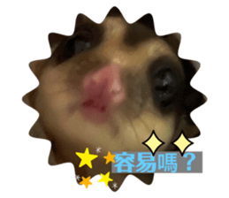 508326415