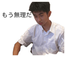 508339134