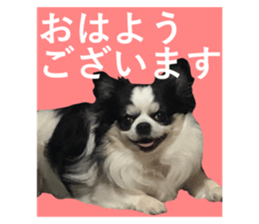 508354996