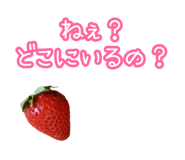508375567