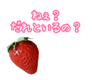 508375568