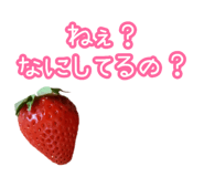 508375569