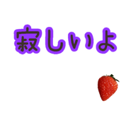 508375574