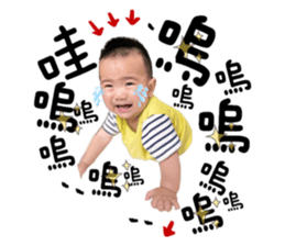 508380141