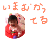 50839400