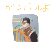 50839404