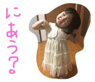 50839405