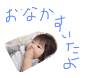 50839407