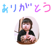 50839410