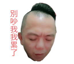 508403401