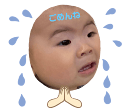 508408444