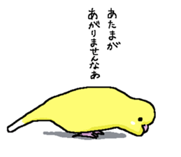 5084268