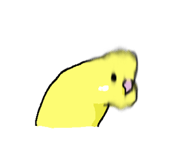 5084285