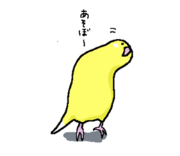 5084293