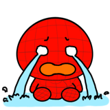 508437022