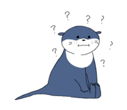 5084398