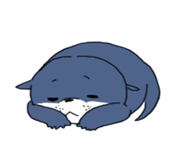 5084405