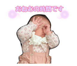 508441559