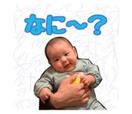 508441567