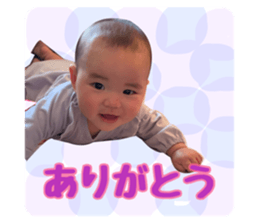 508441574