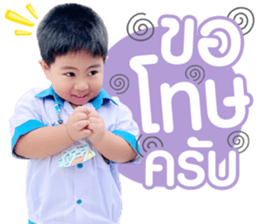 508452017