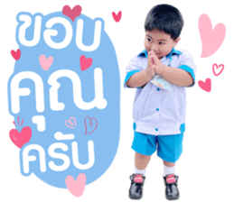 508452018