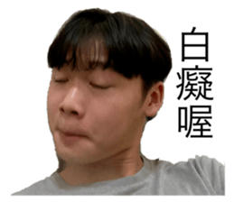 508466428