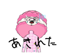 508522053