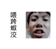 508529269