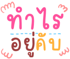 508531304