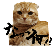 508535746