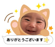 508536130