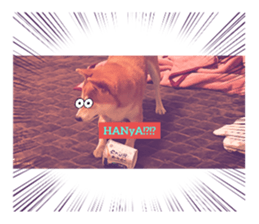508541002