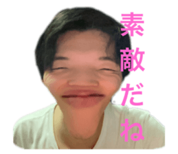 508550081