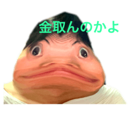 508550082
