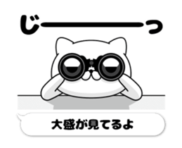 50867995