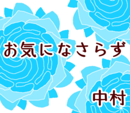 50870203