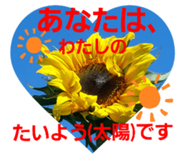 508716362
