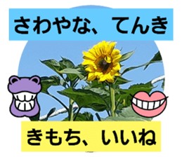 508716385