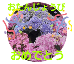 508716389